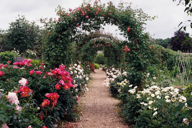 Garden Arches — How to Choose One and Which Climbing Plants Look Best Over Them