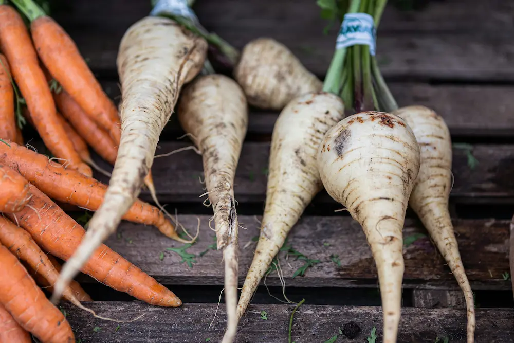 How to Grow Parsnips in the UK — The Most Rewarding Winter Root Vegetable