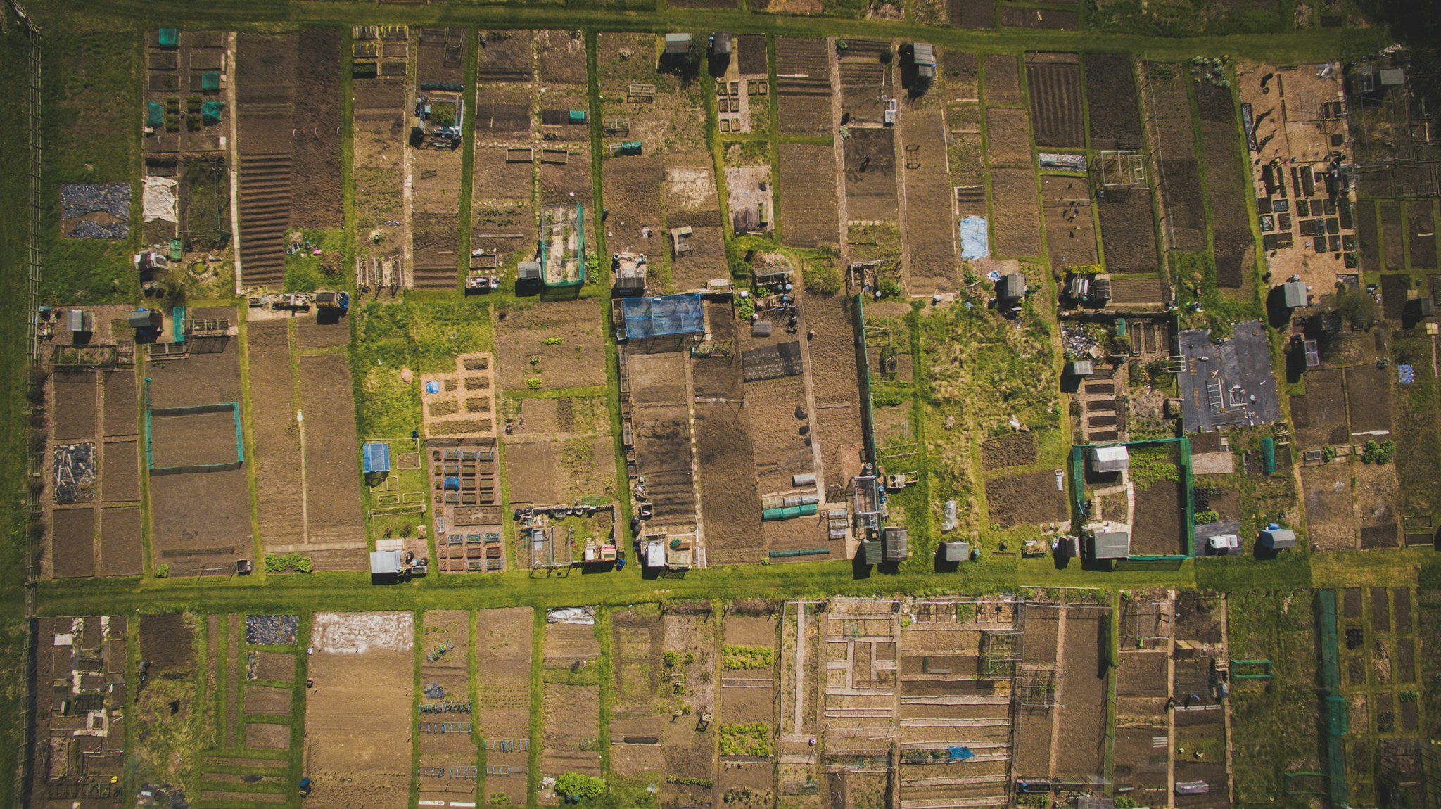 how to start an allotment in the UK