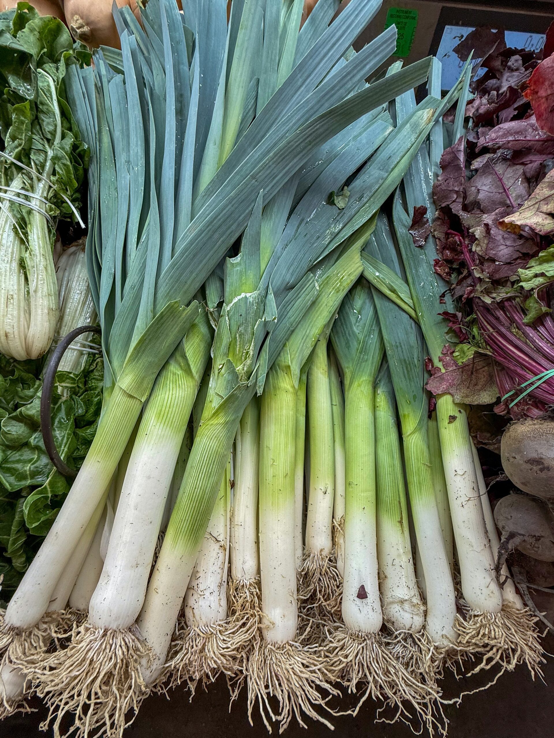 how to grow leeks in the UK