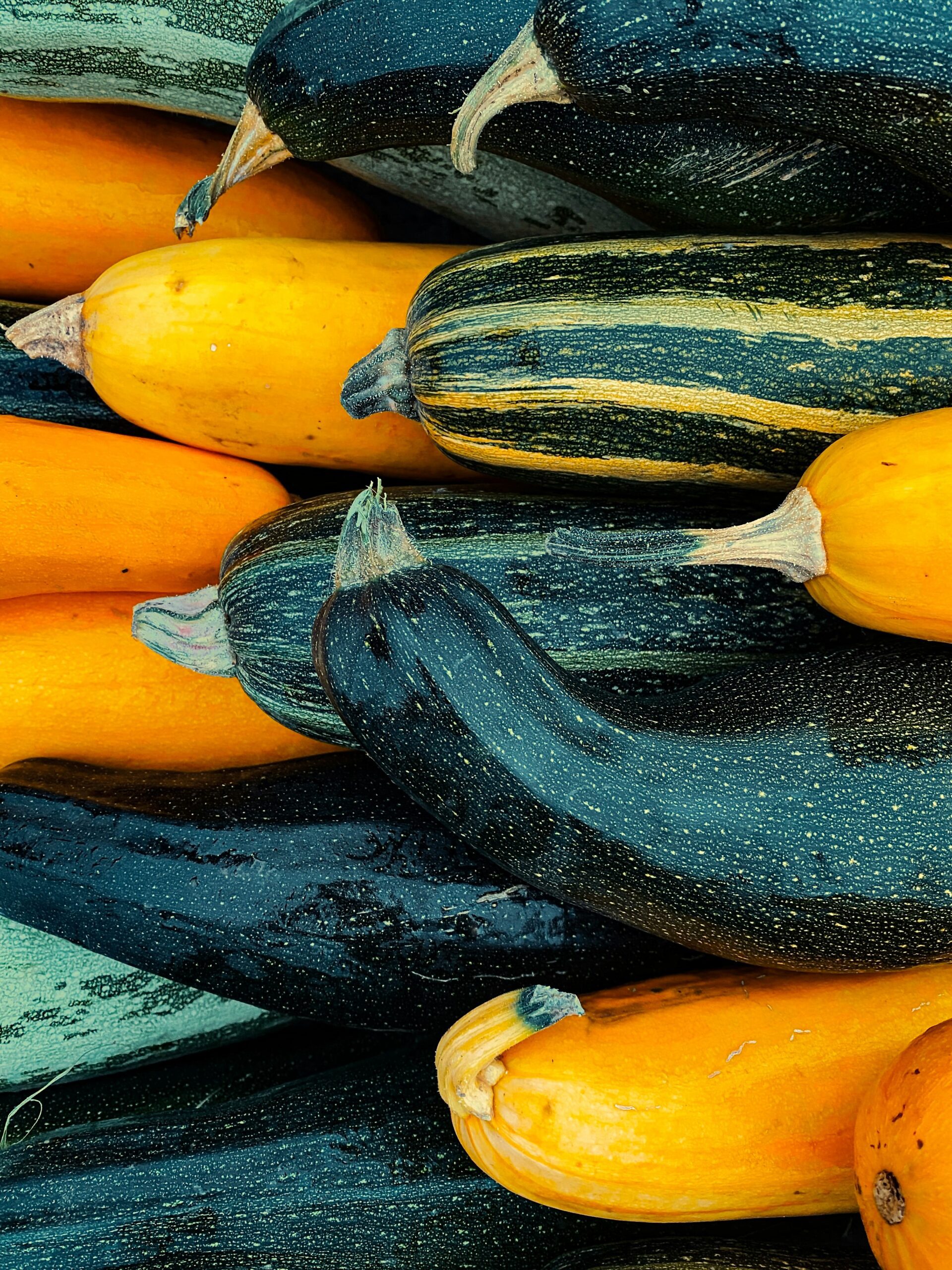 how to grow courgettes in the UK