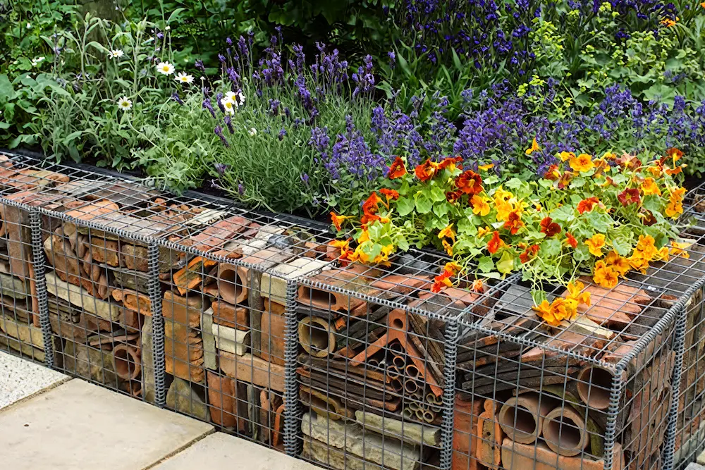 gabion raised bed planting