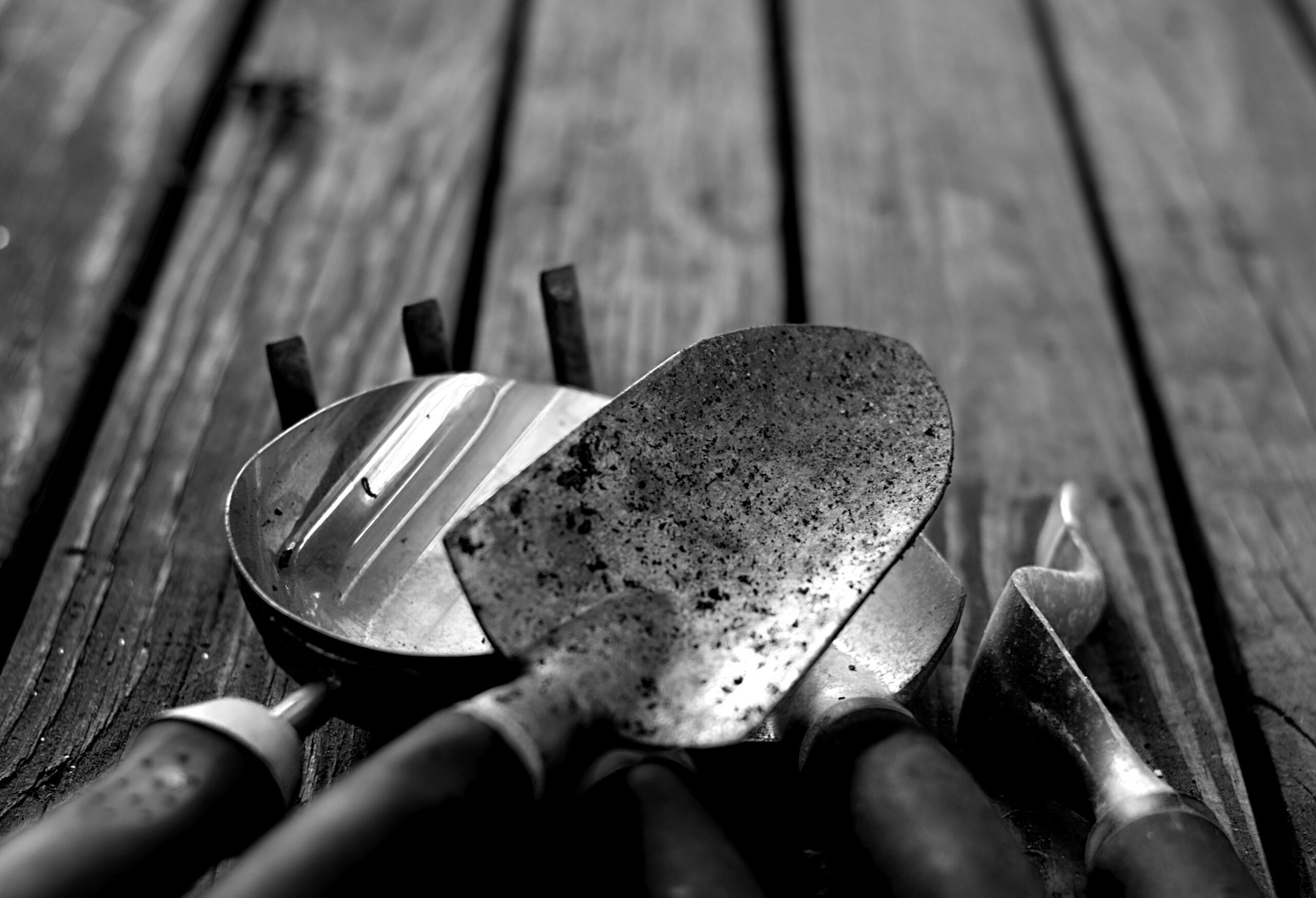 The Only Gardening Tools a UK Beginner Actually Needs (And What’s a Waste of Money)