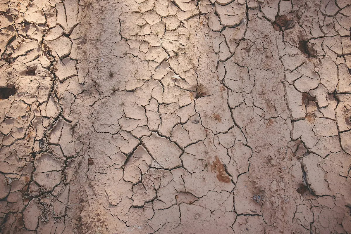 how to improve clay soil