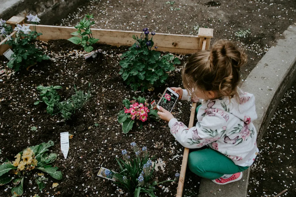 How to Design a Child-Friendly Garden — Space, Safety, and Plants That Work Together