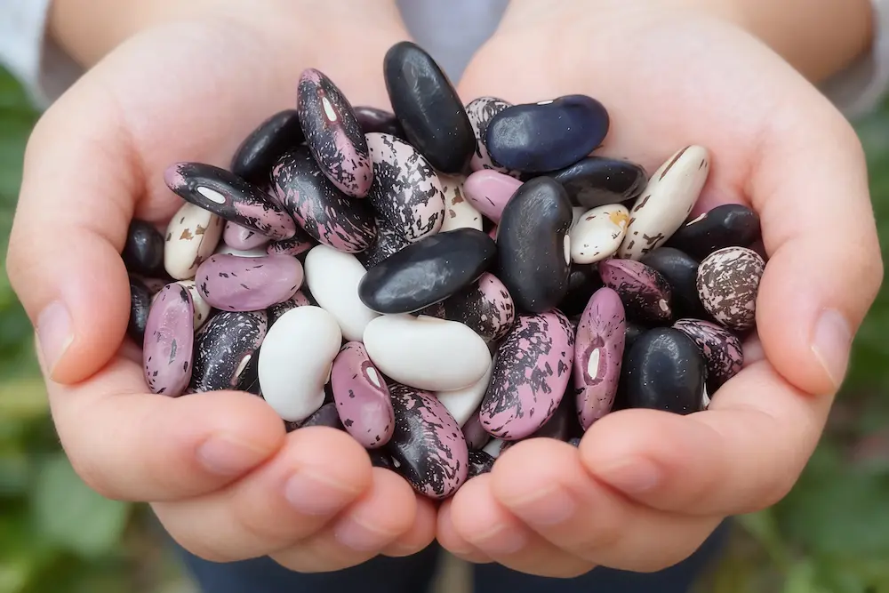 The Best Plants to Grow with Children — Fast Results That Keep Kids Hooked