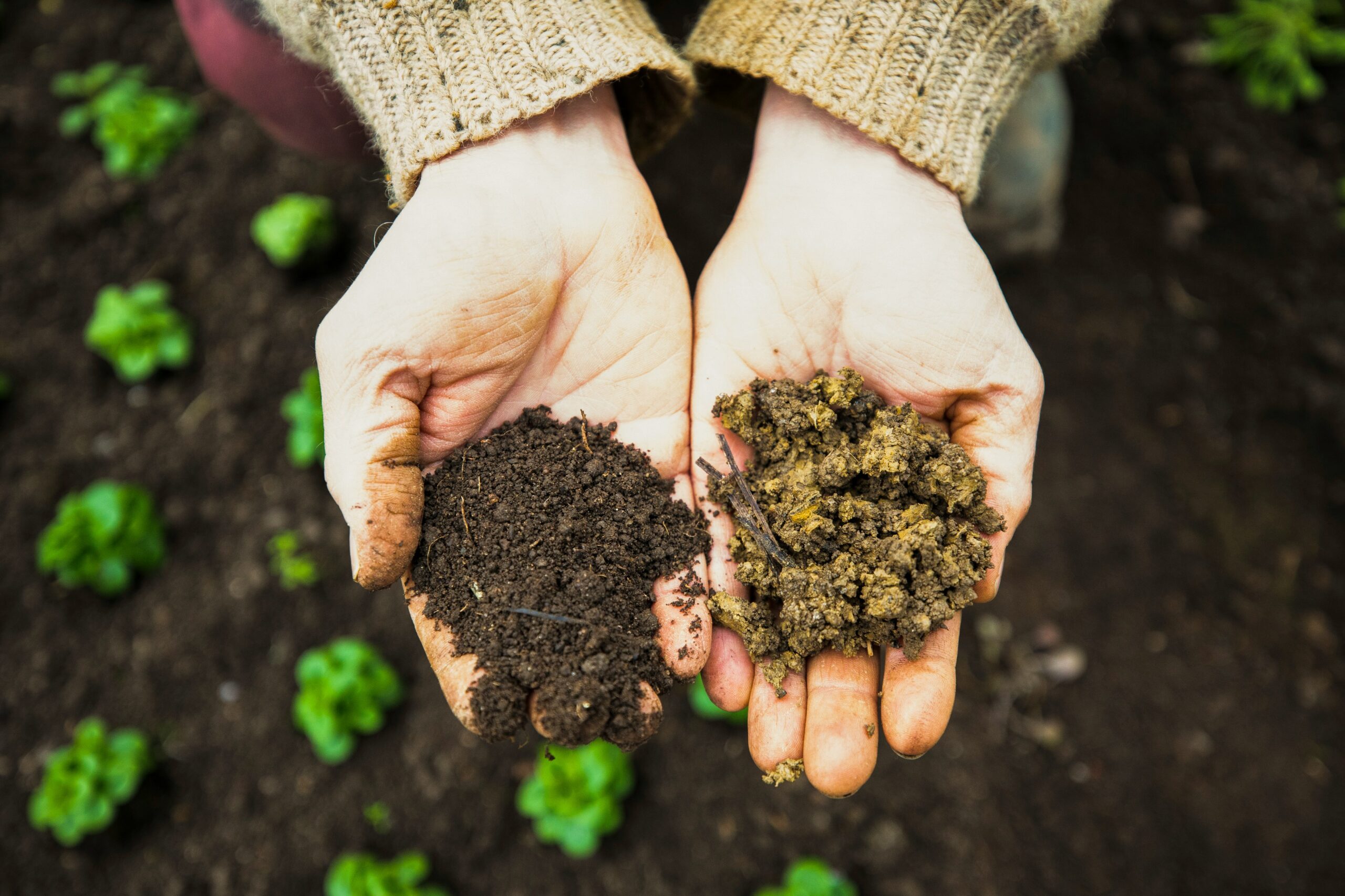 simple soil guide UK gardeners