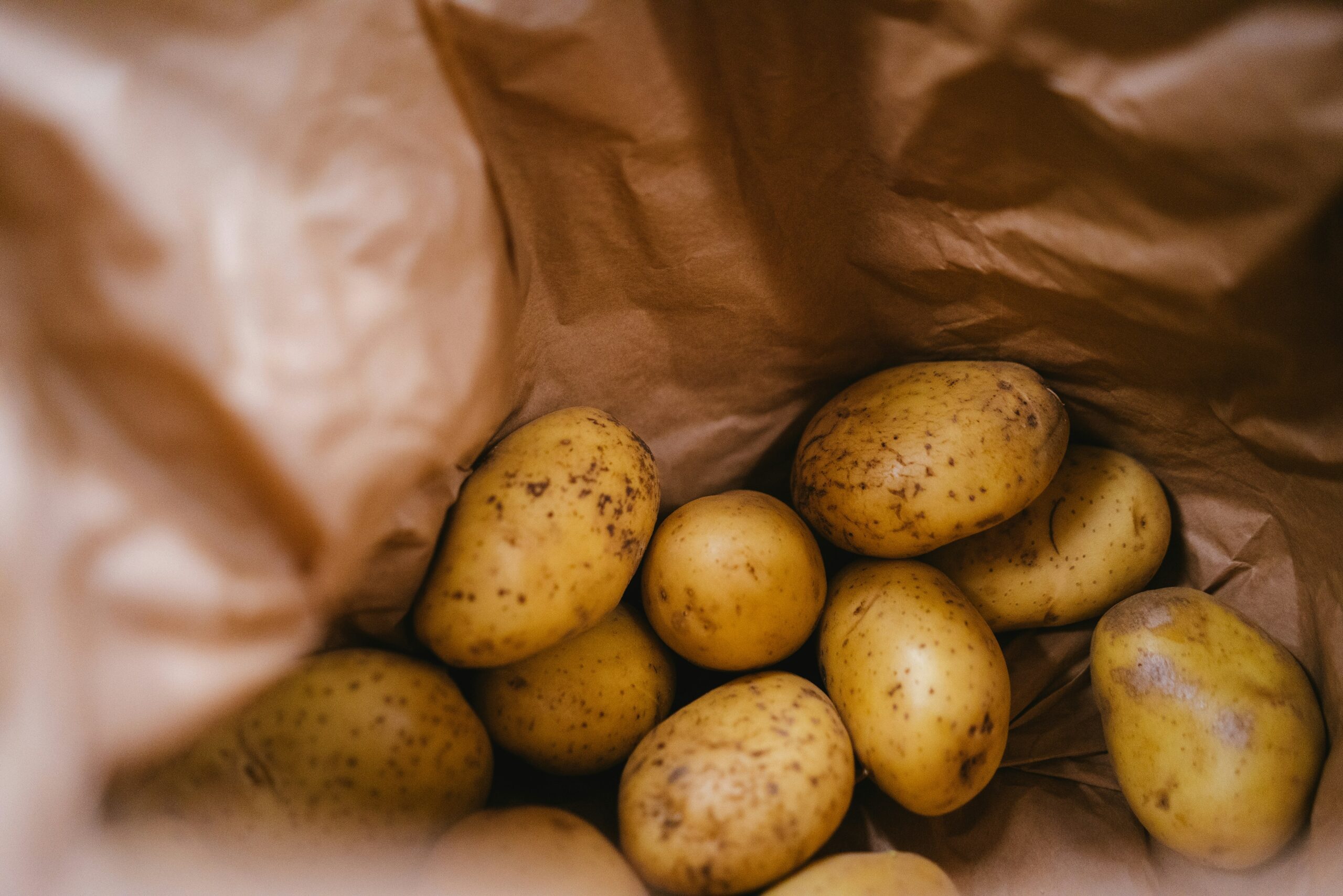 growing potatoes in bags UK