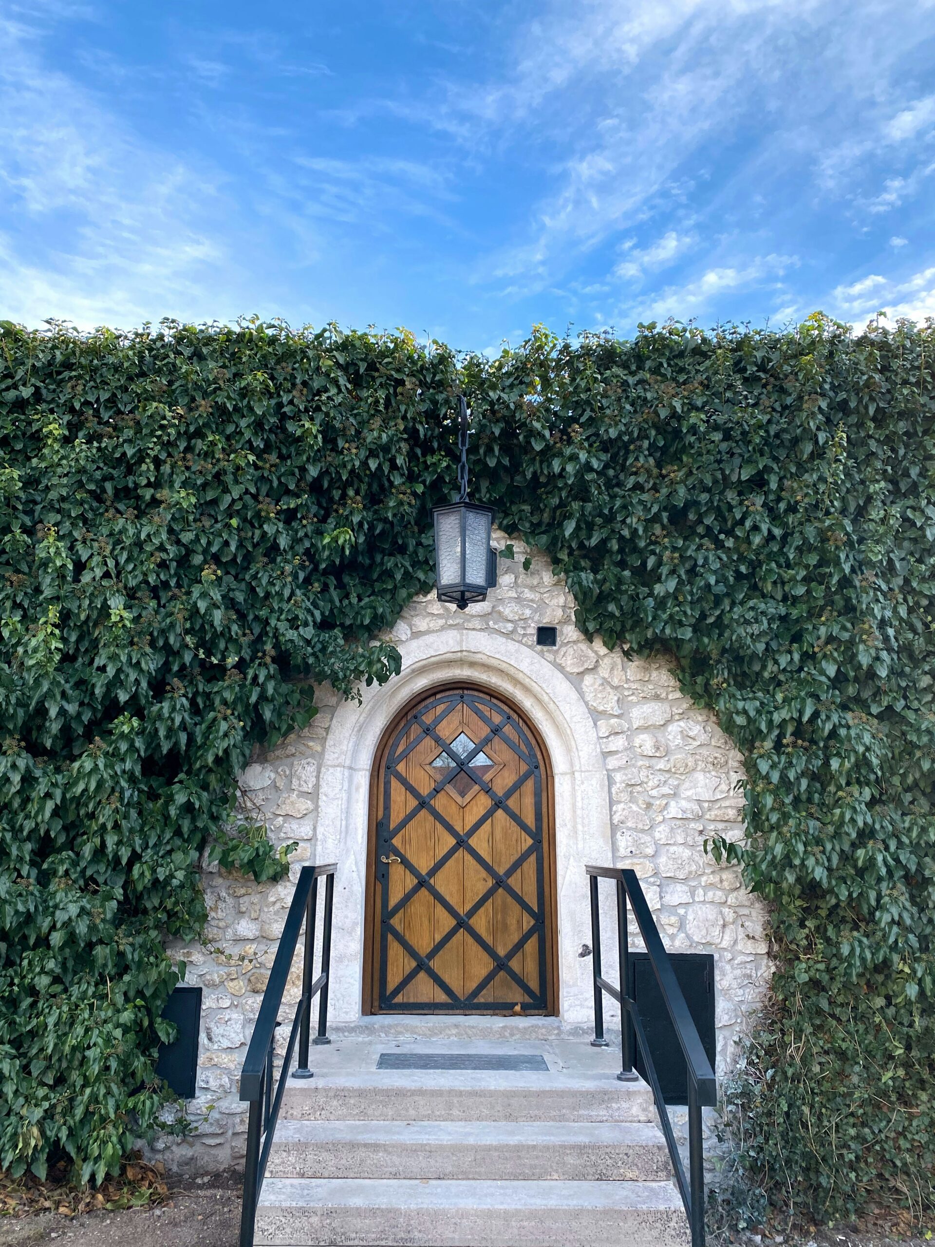 Outdoor Ivy — How to Grow It, Control It, and Use It